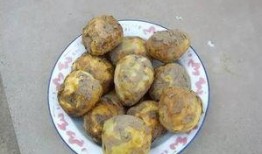 户外土豆爆料视频,揭秘田间地头那些不为人知的秘密